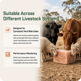 1 Tonne Premium Livestock Himalayan Rock Salt Blocks