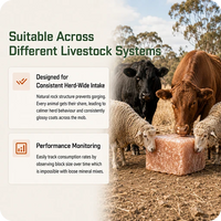 1 Tonne Premium Livestock Himalayan Rock Salt Blocks