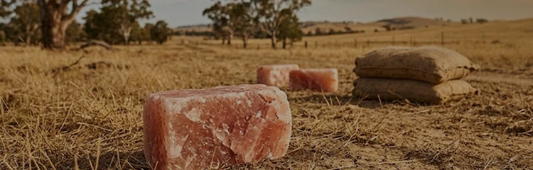 salt rock in the fields