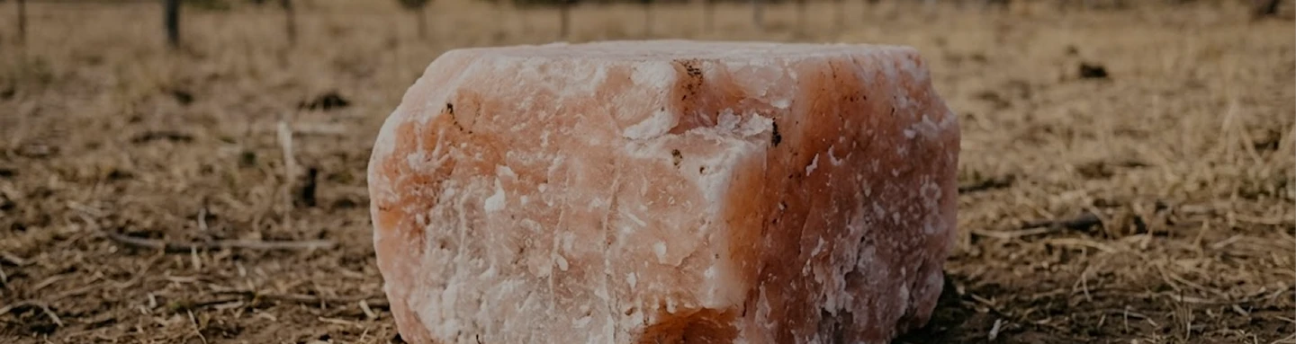 himalayan salt block