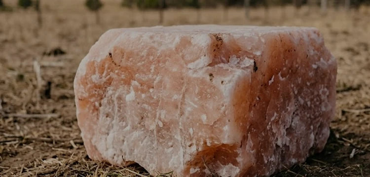 himalayan salt block