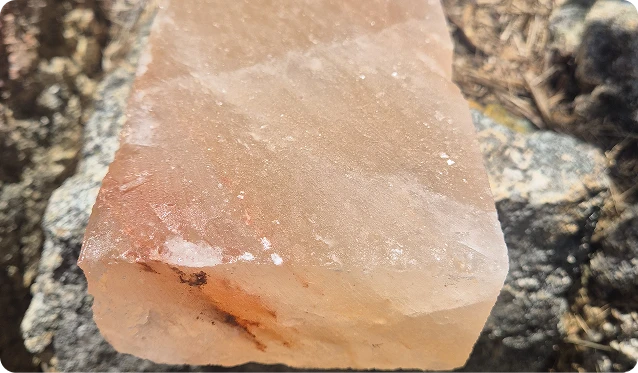 Premium Himalayan Salt Bricks (Box of 10)