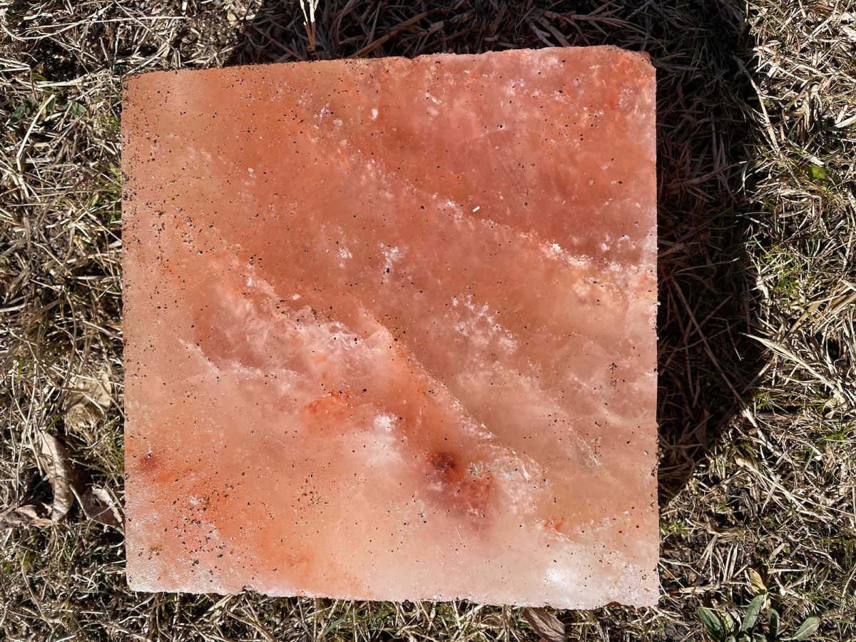 Himalayan Salt Bricks